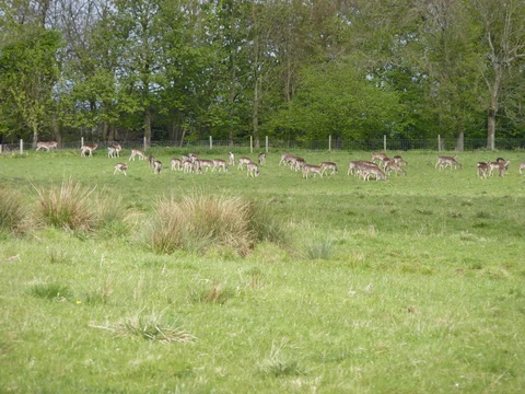 Even Hill and Comberton Wood