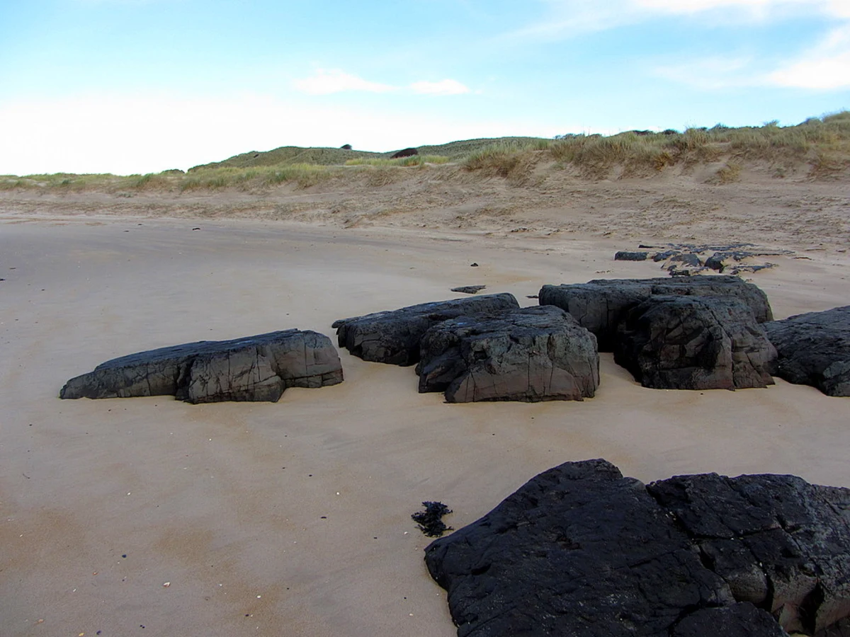 Bamburgh Coast and Hills Loop
