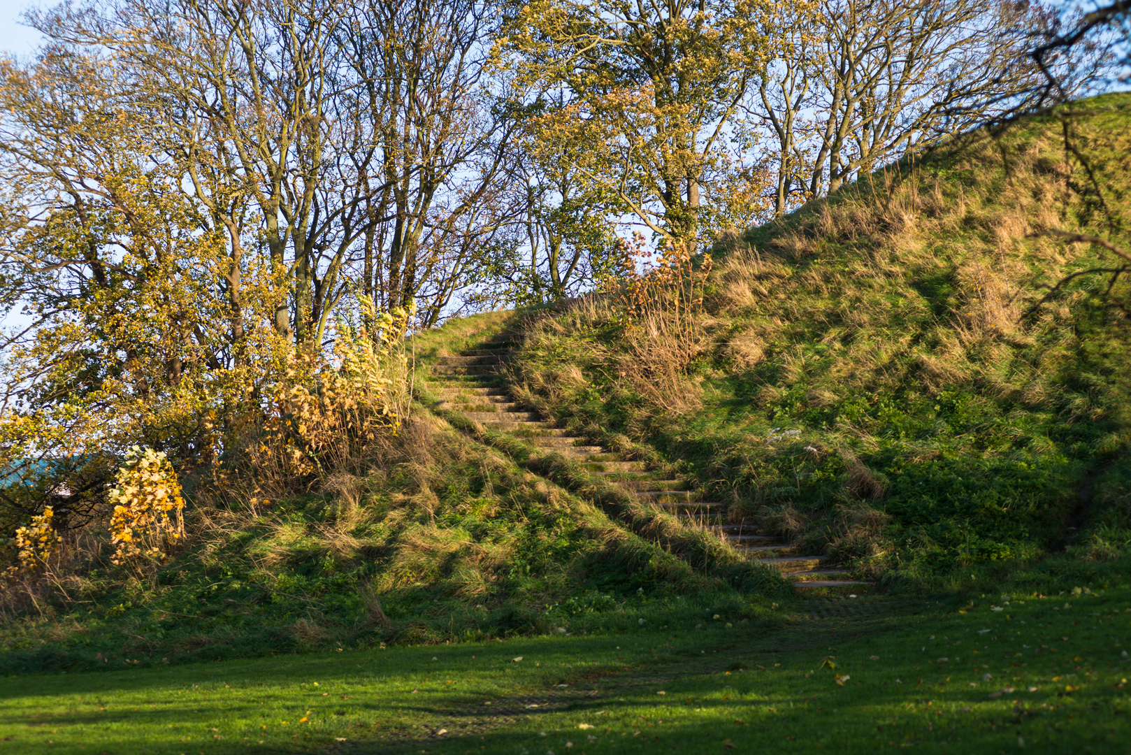 An image depicting the trail Bourne Blunder and its surrounding area.