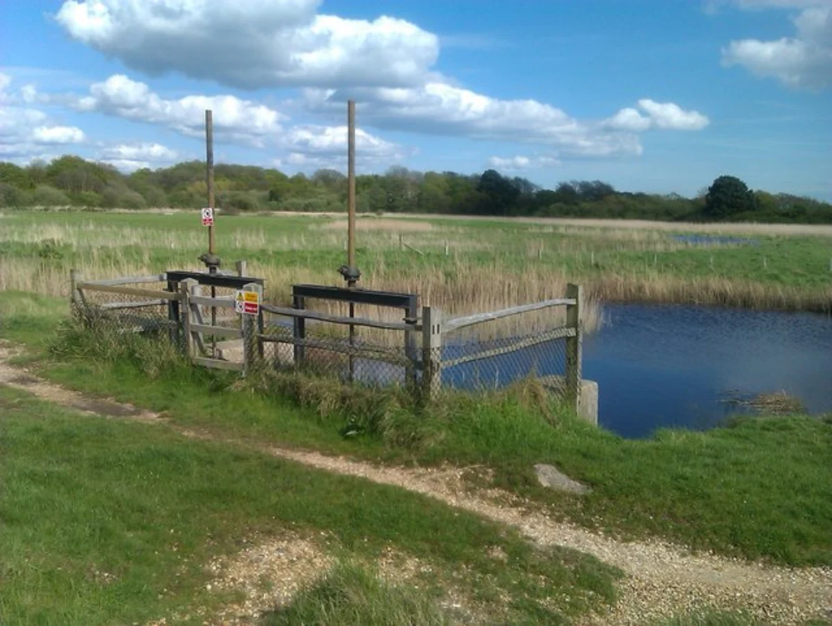 Hook with Warsash Local Nature Reserve Walk
