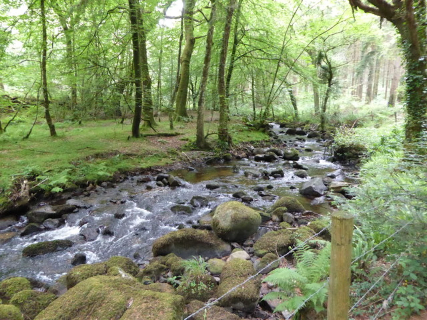 An image depicting the trail Hound Tor, Yarner Old Reservoir and Horsham Cleave Loop and its surrounding area.