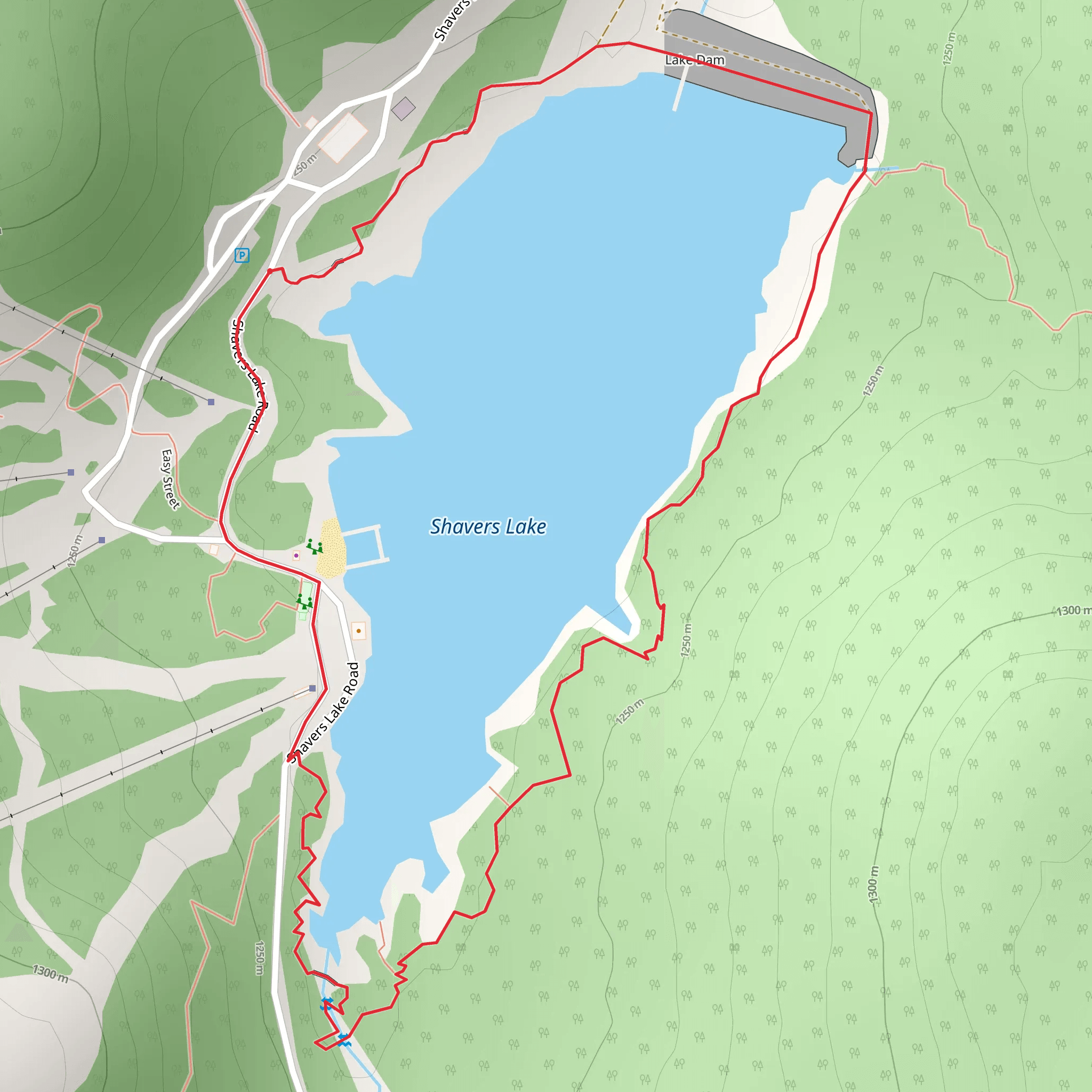 Shavers Lake Loop Trail mobile static map