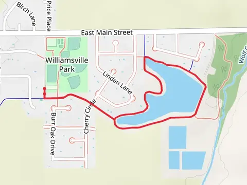 Williamsville Park Pond Loop