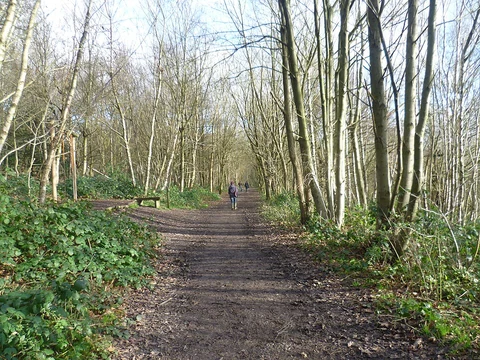 An image depicting the trail Trosley Country Park Short Loop and its surrounding area.