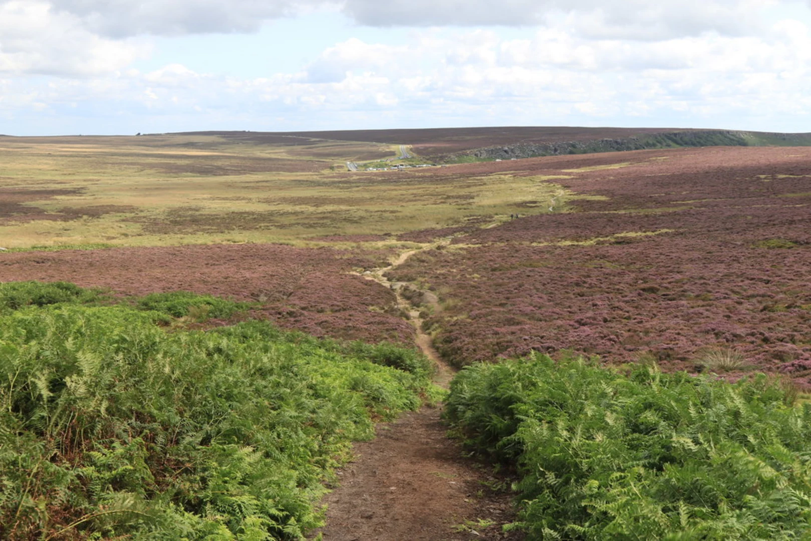 An image depicting the trail Carl Wark and Higger Tor Loop and its surrounding area.