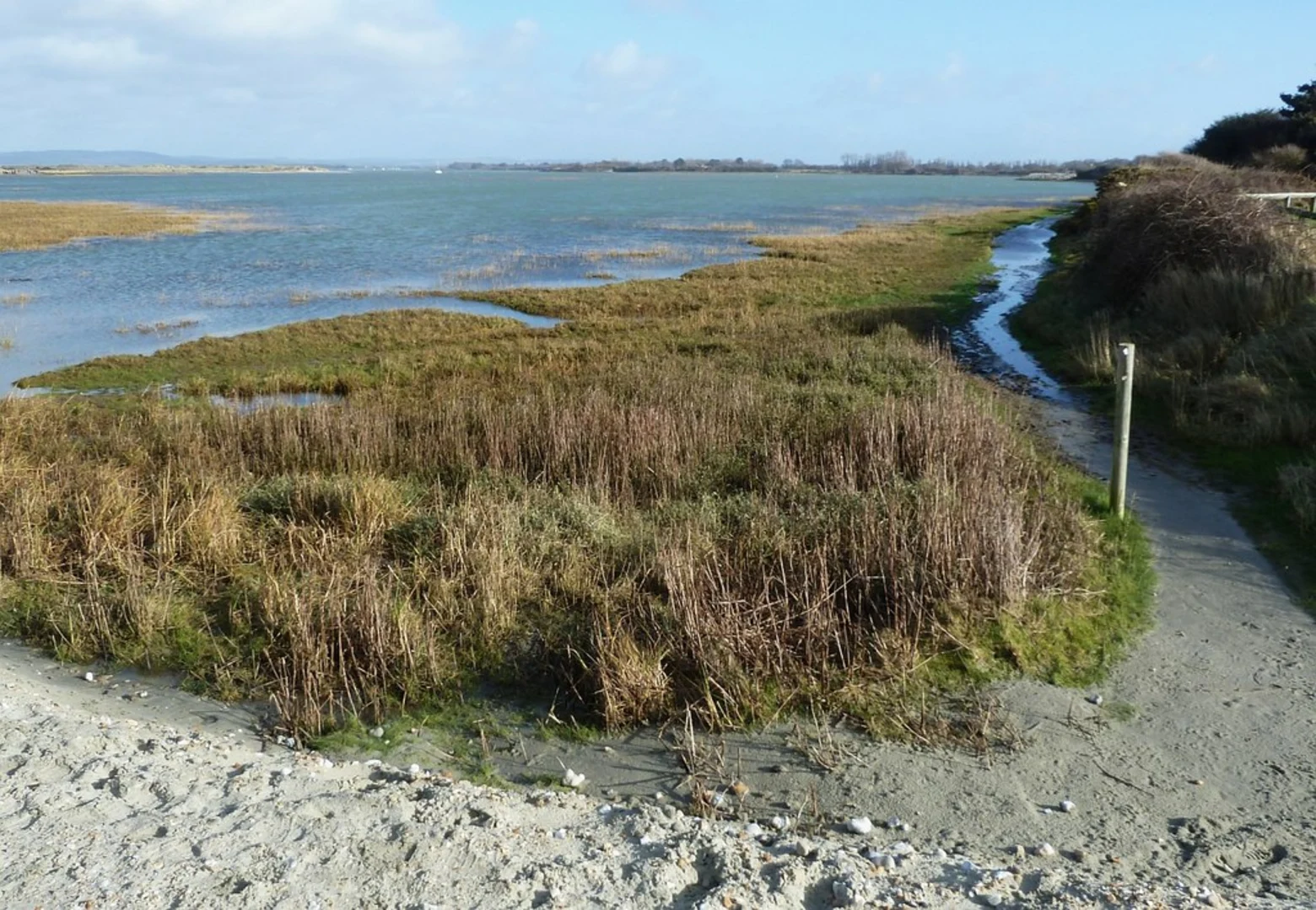 An image depicting the trail West Itchenor Country Park and West Wittering Country Park Loop and its surrounding area.