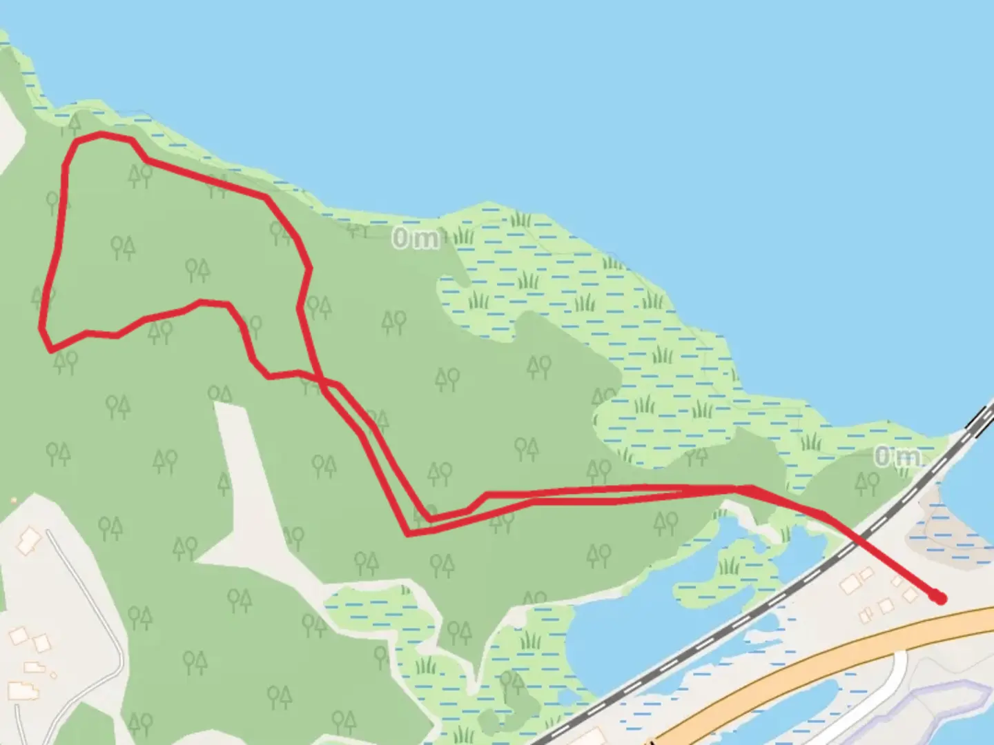 An image depicting the trail Hashamomuck Pond and its surrounding area.