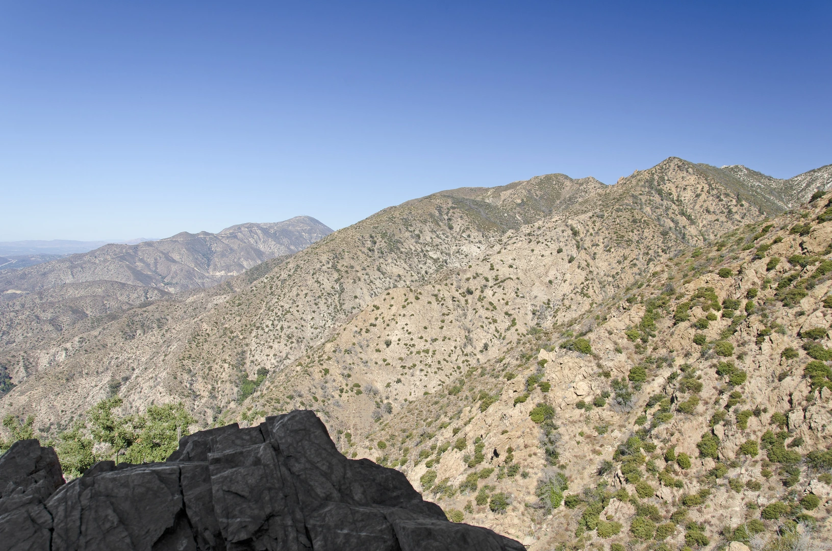 An image depicting the trail Millard Falls Trail, Tom Sloan Saddle and Brown Mountain Loop and its surrounding area.