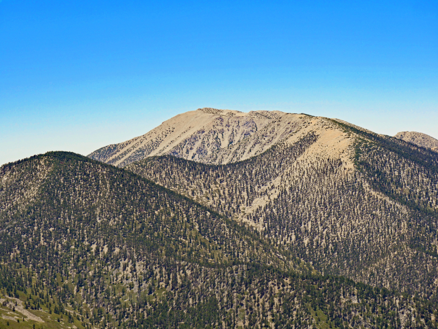 An image depicting the trail Anderson Flat via Forsee Creek Trail and its surrounding area.
