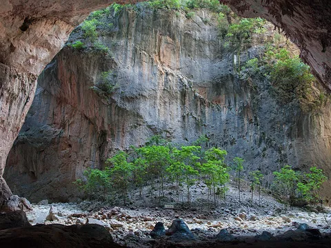 An image depicting the trail The Green Throat SL A 118 and its surrounding area.