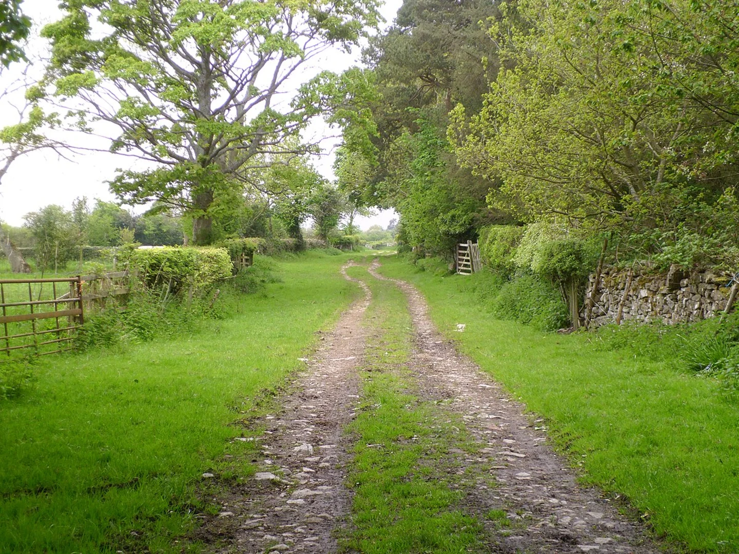 An image depicting the trail Appleton le Moors to Lastingham Loop and its surrounding area.
