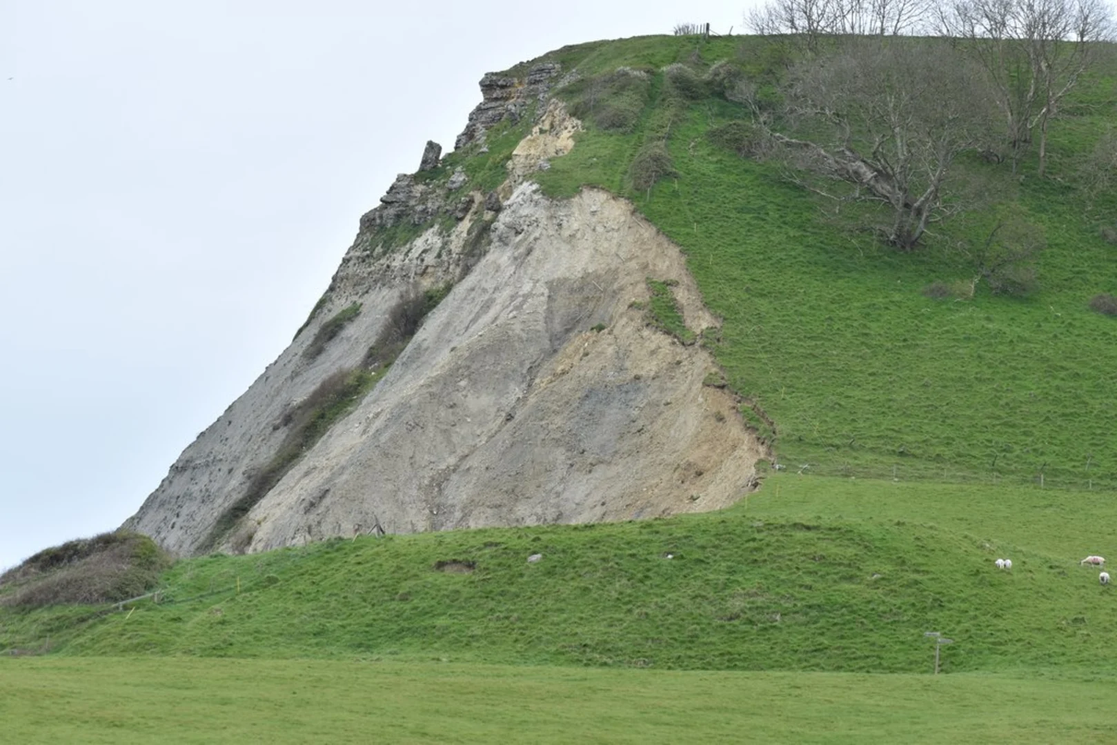An image depicting the trail Swyre Head and Hounstout Cliff Loop and its surrounding area.
