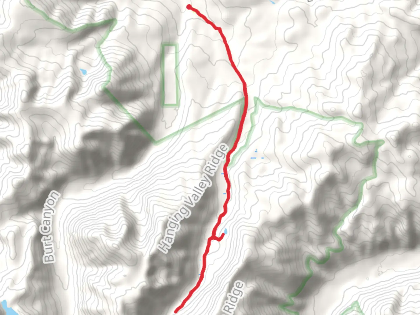 An image depicting the trail Walk along Molybdenite Creek and its surrounding area.