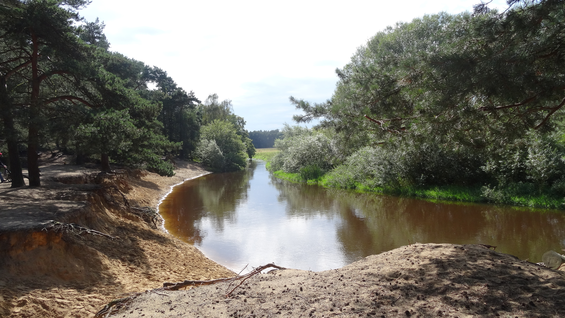 An image depicting the trail Kampbrug and Kribbenbrug Loop and its surrounding area.