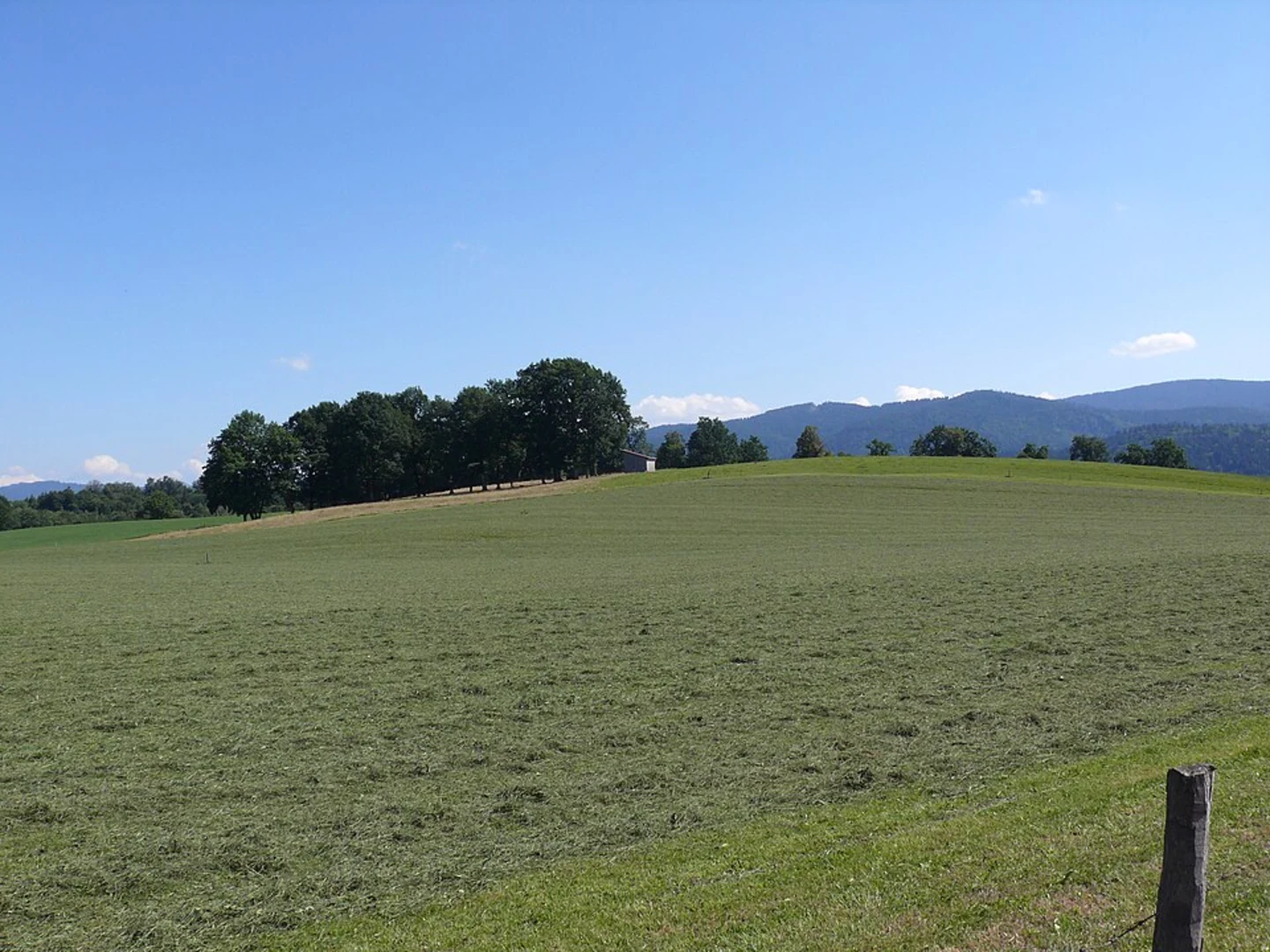 An image depicting the trail Grünenbaindt and Kobel Loop and its surrounding area.
