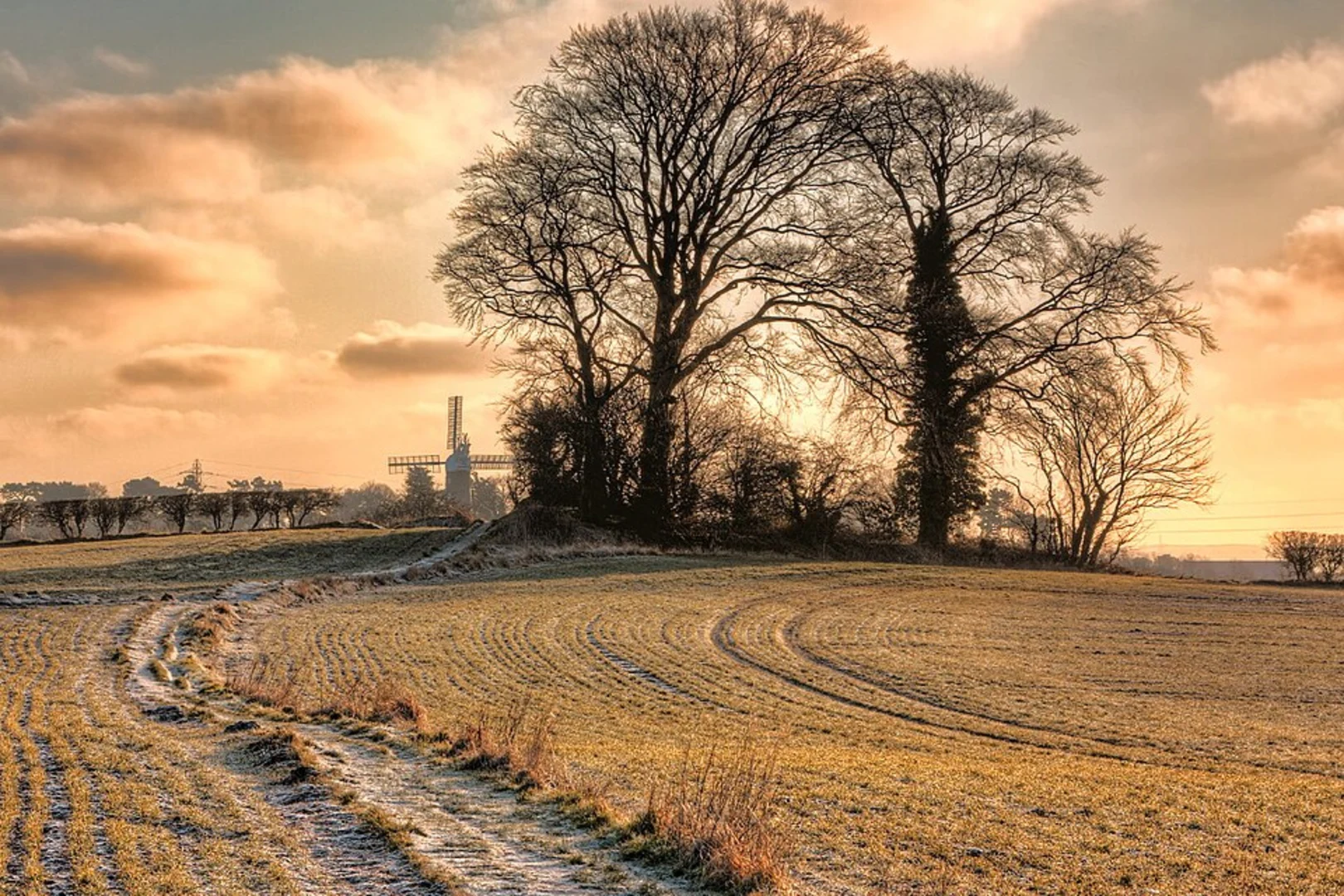 An image depicting the trail Ripon Circular Path and its surrounding area.