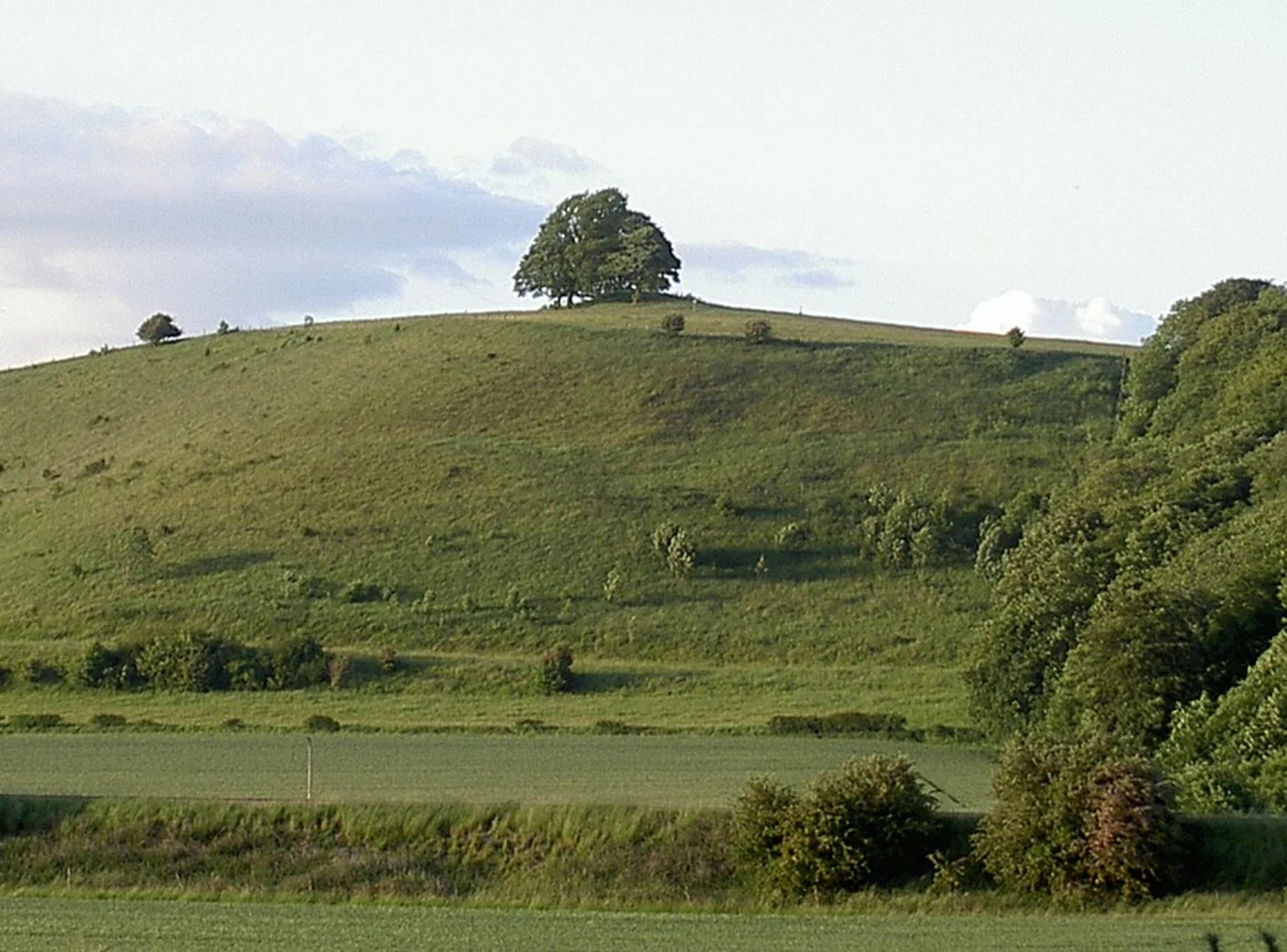 An image depicting the trail Cotley Hill, Scratchbury Hill and Middle Hill Walk and its surrounding area.