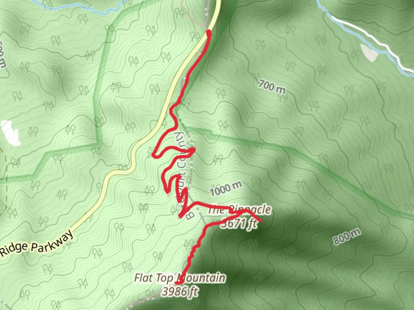 An image depicting the trail The Pinnacle and Flat Top Mountain Trail and its surrounding area.