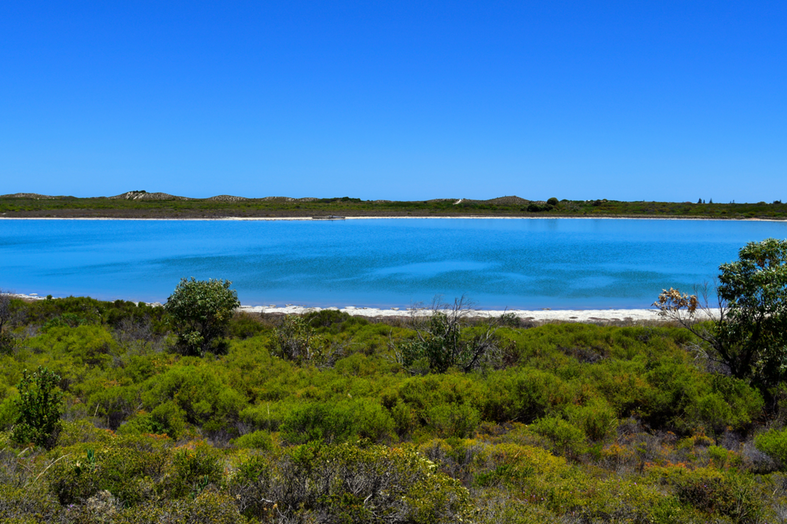 An image depicting the trail Lake Thetis Loop Trail and its surrounding area.