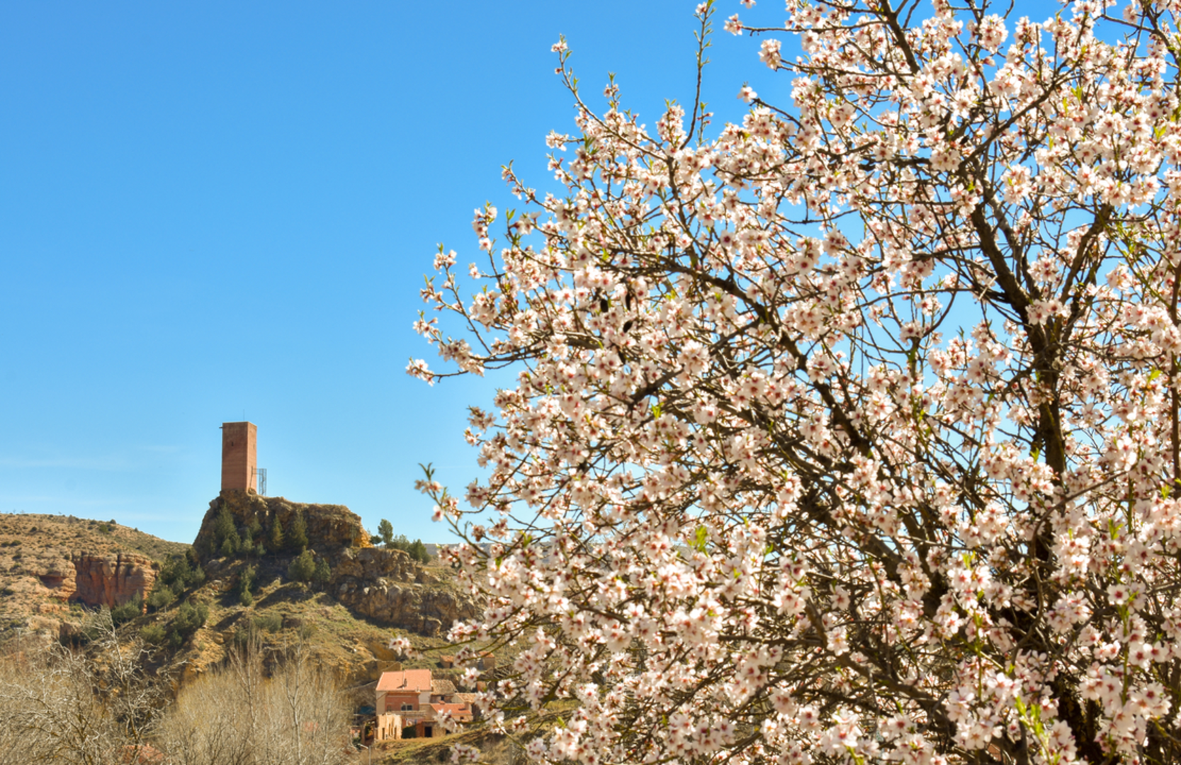 An image depicting the trail Living with the River Route PR TE 94 and its surrounding area.