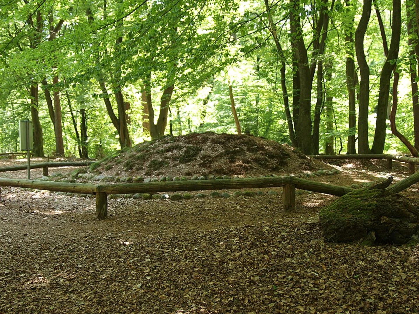 An image depicting the trail Fischbeker Heide Loop via Wander Tour Wulmstorfer Heide and its surrounding area.
