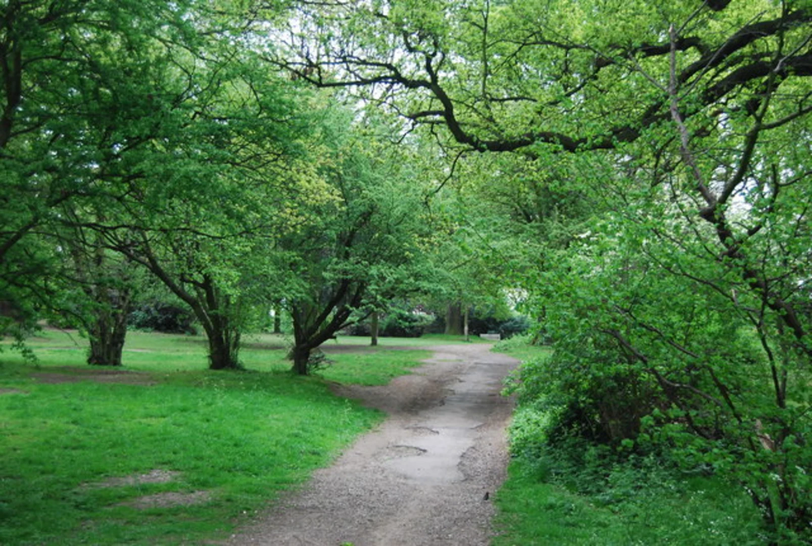 An image depicting the trail Beckenham Place Park Loop and its surrounding area.