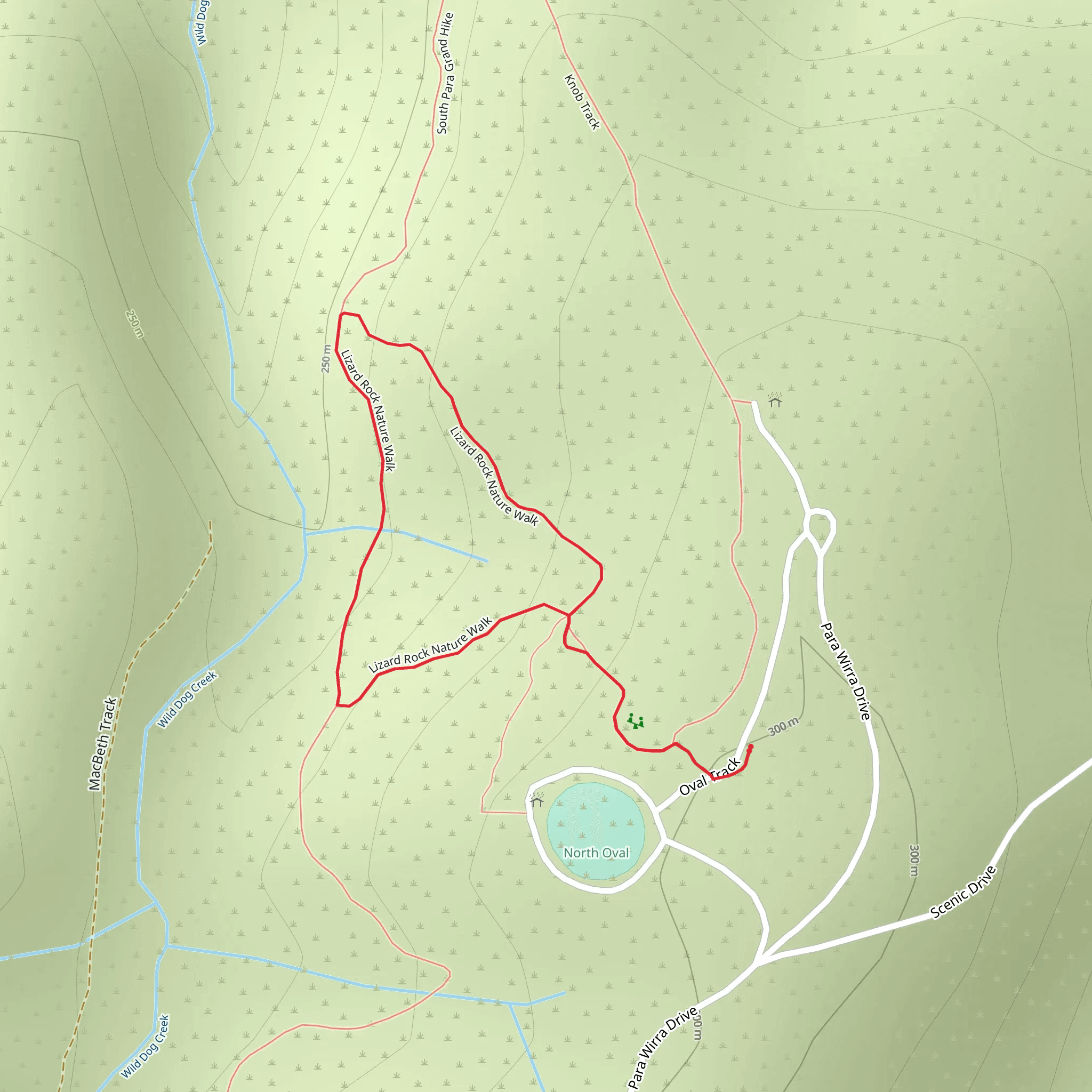 Lizard Rock Trail mobile static map