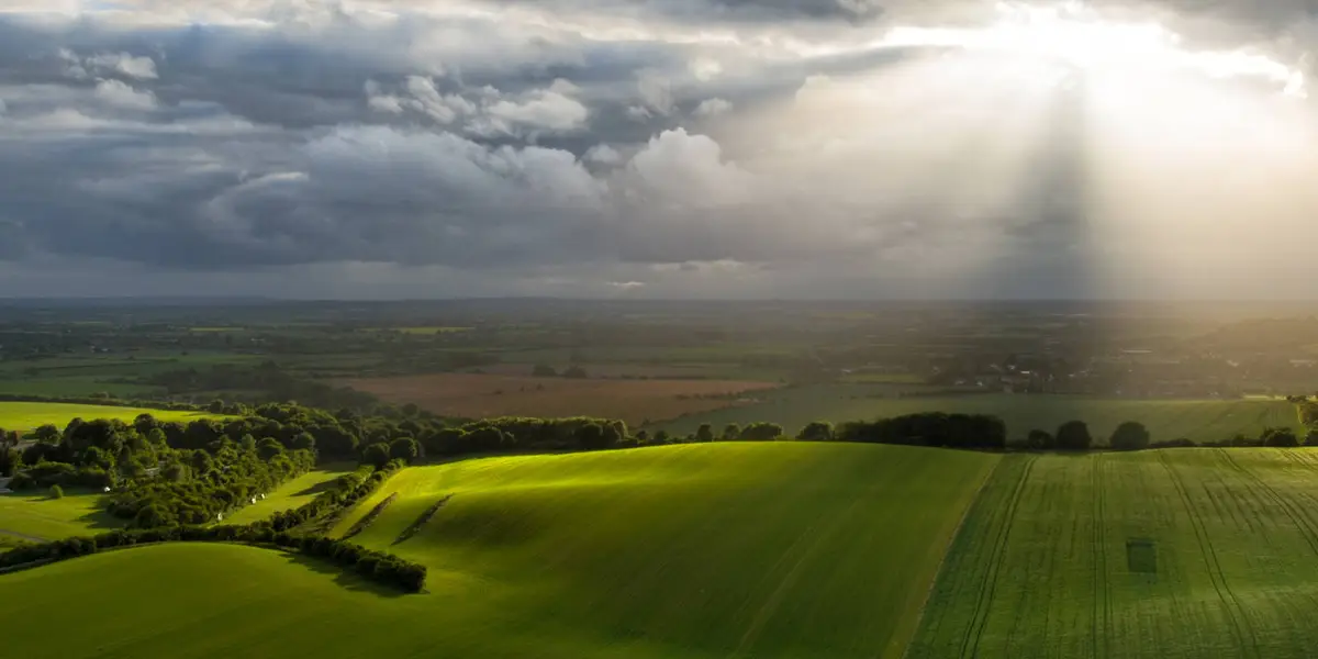 Whipsnade and Dunstable Downs Walk - Bedfordshire