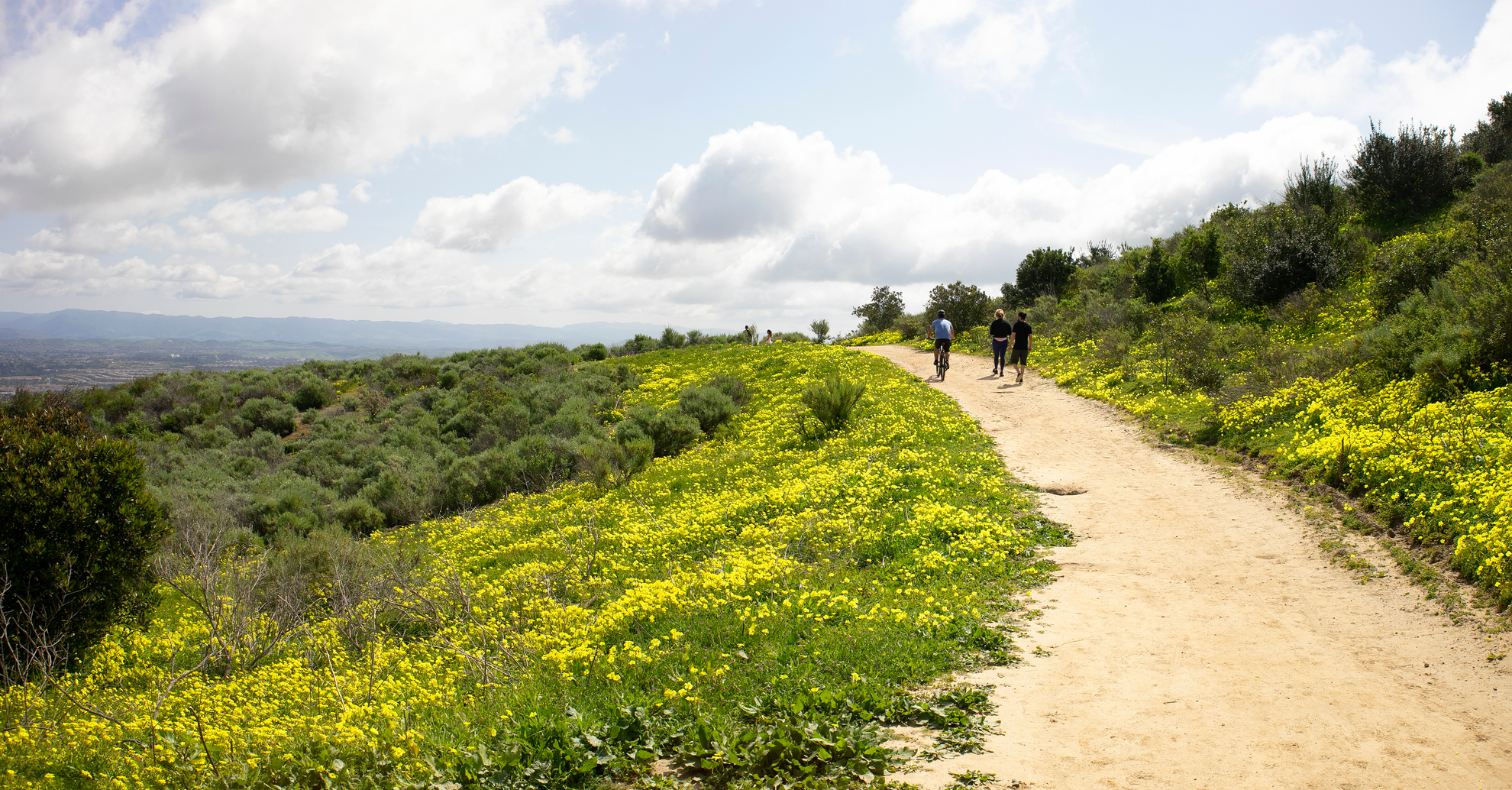 An image depicting the trail Meadows and Sheep Run Loop Trail and its surrounding area.
