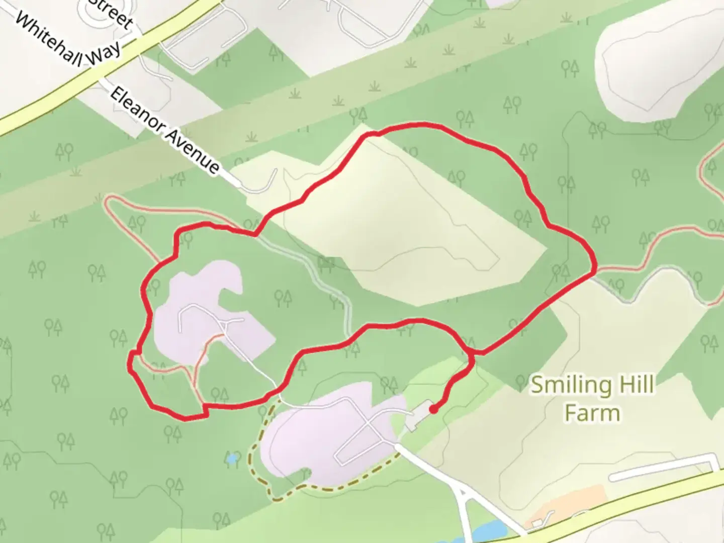 An image depicting the trail Sugar Maple and White Pine Trail and its surrounding area.