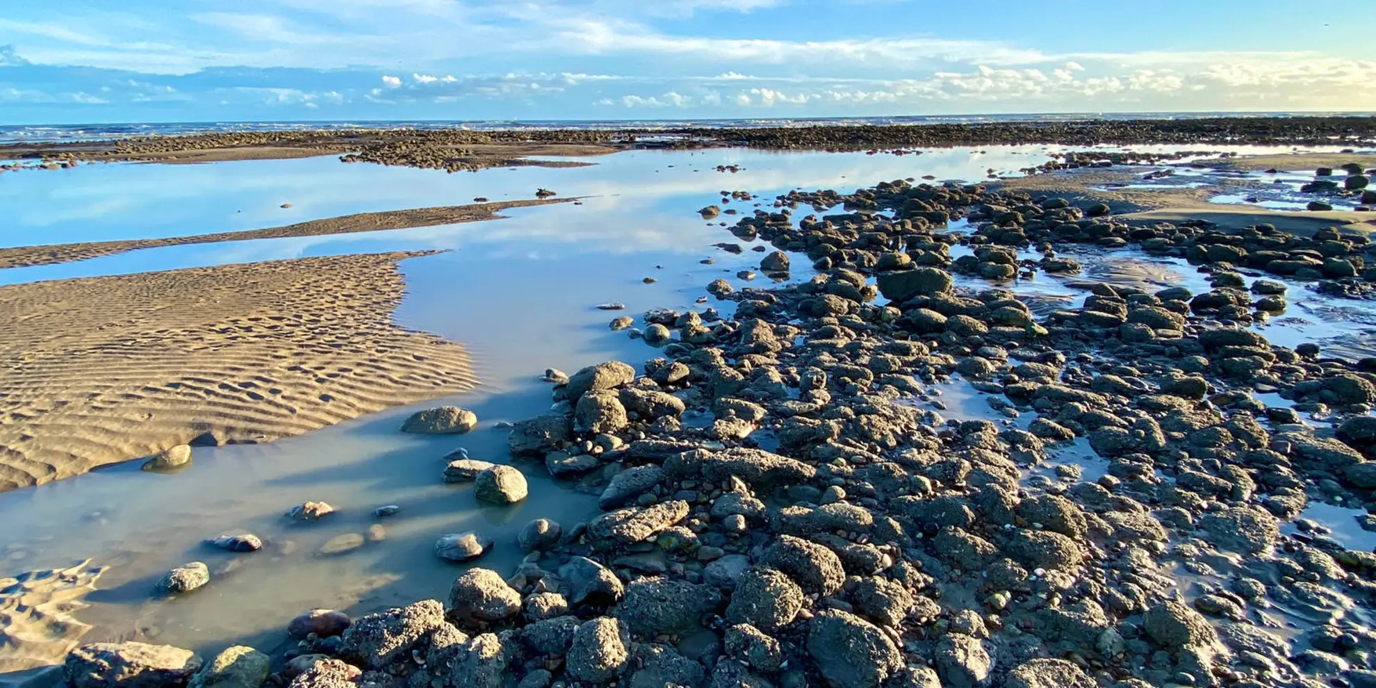 An image depicting the trail Royal Military Canal - Cliff End to Seabrook and its surrounding area.