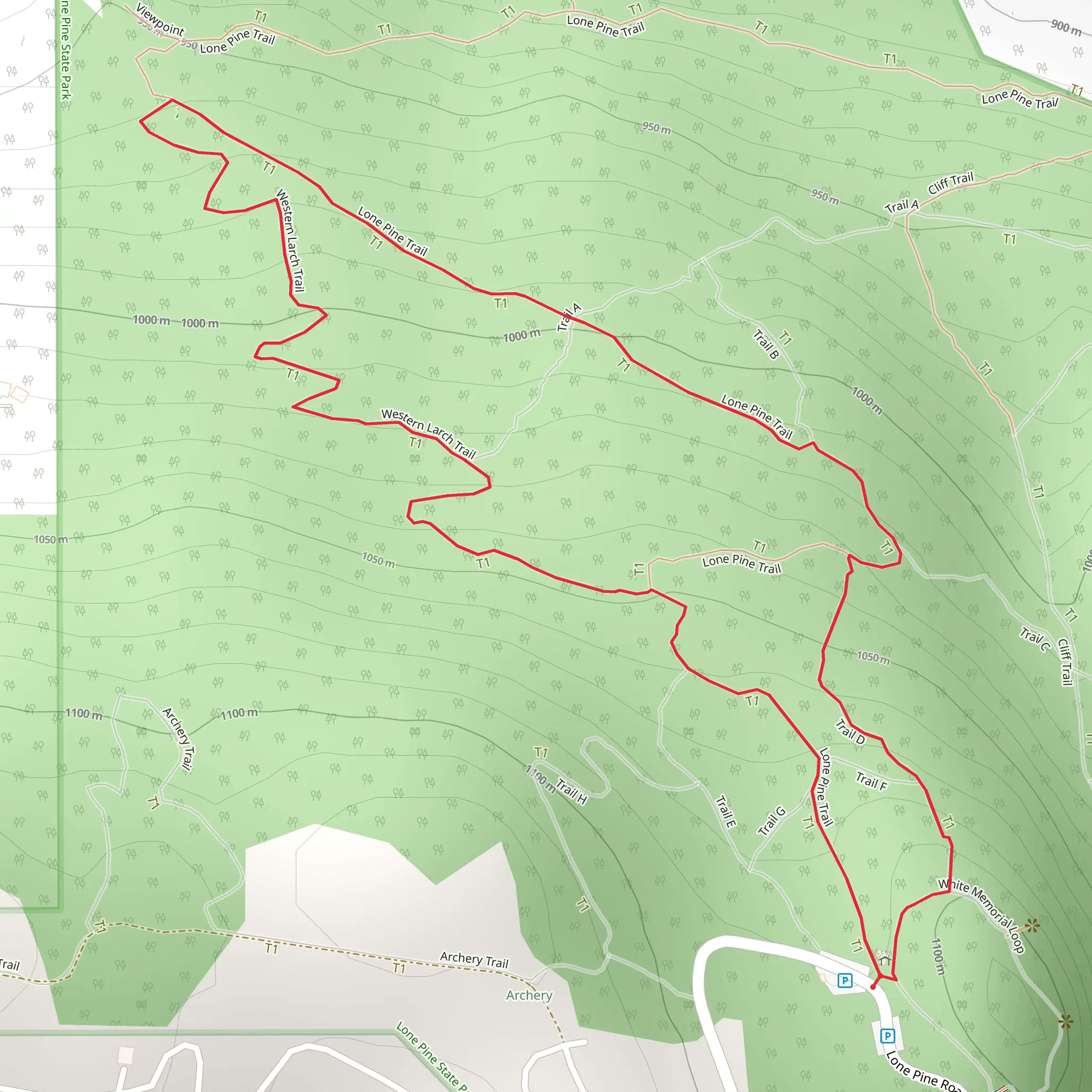 Lone Pine and Western Larch Loop Trail - Short mobile static map