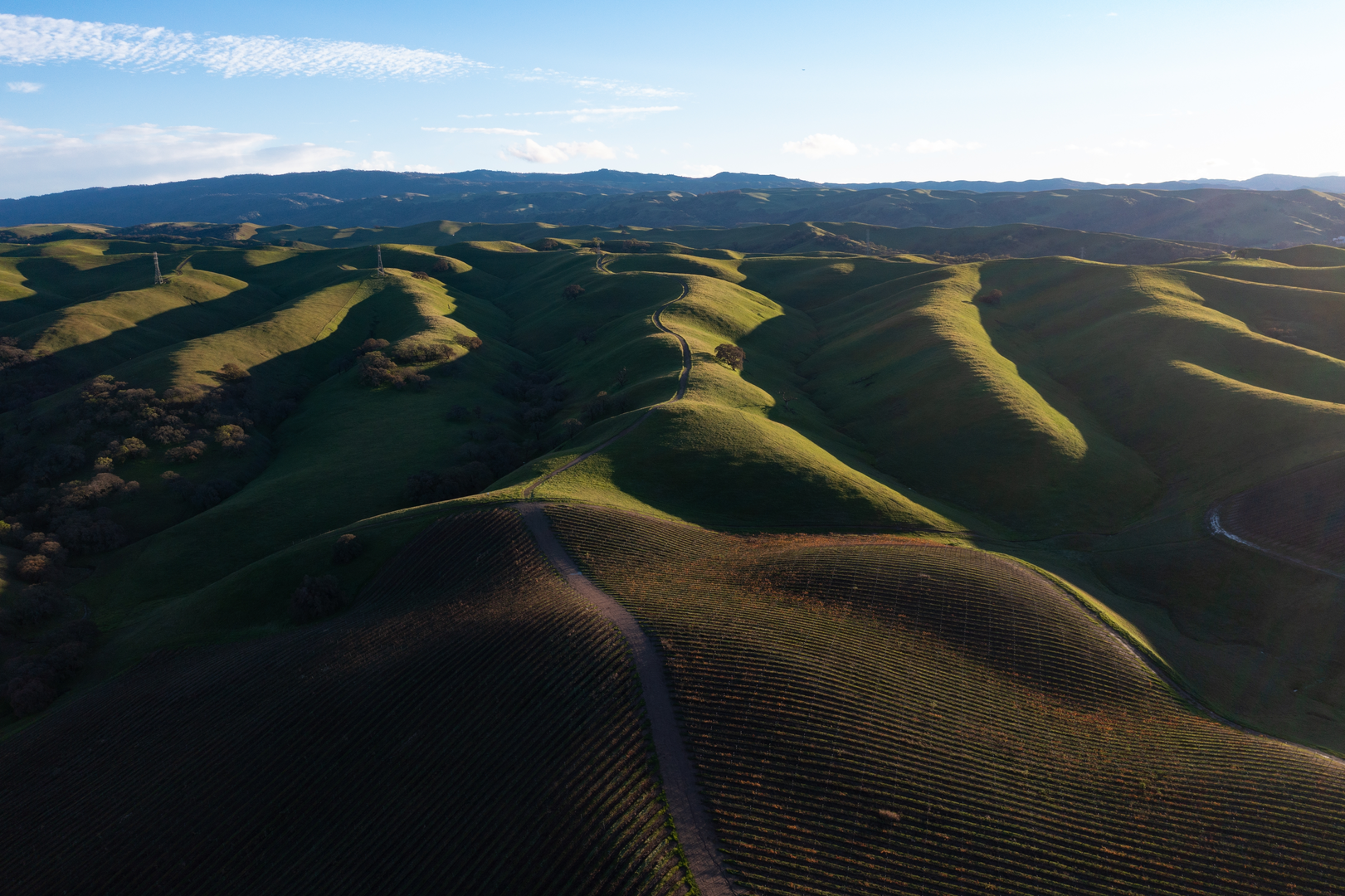 An image depicting the trail Martin Canyon Creek Trail and its surrounding area.
