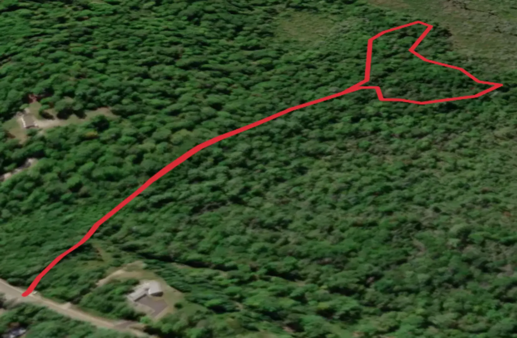 An image depicting the trail Witt Swamp Loop and its surrounding area.