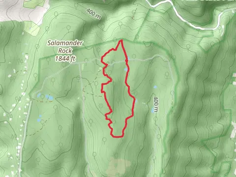 Salamander, Iceburg and Salamander Loop Trail