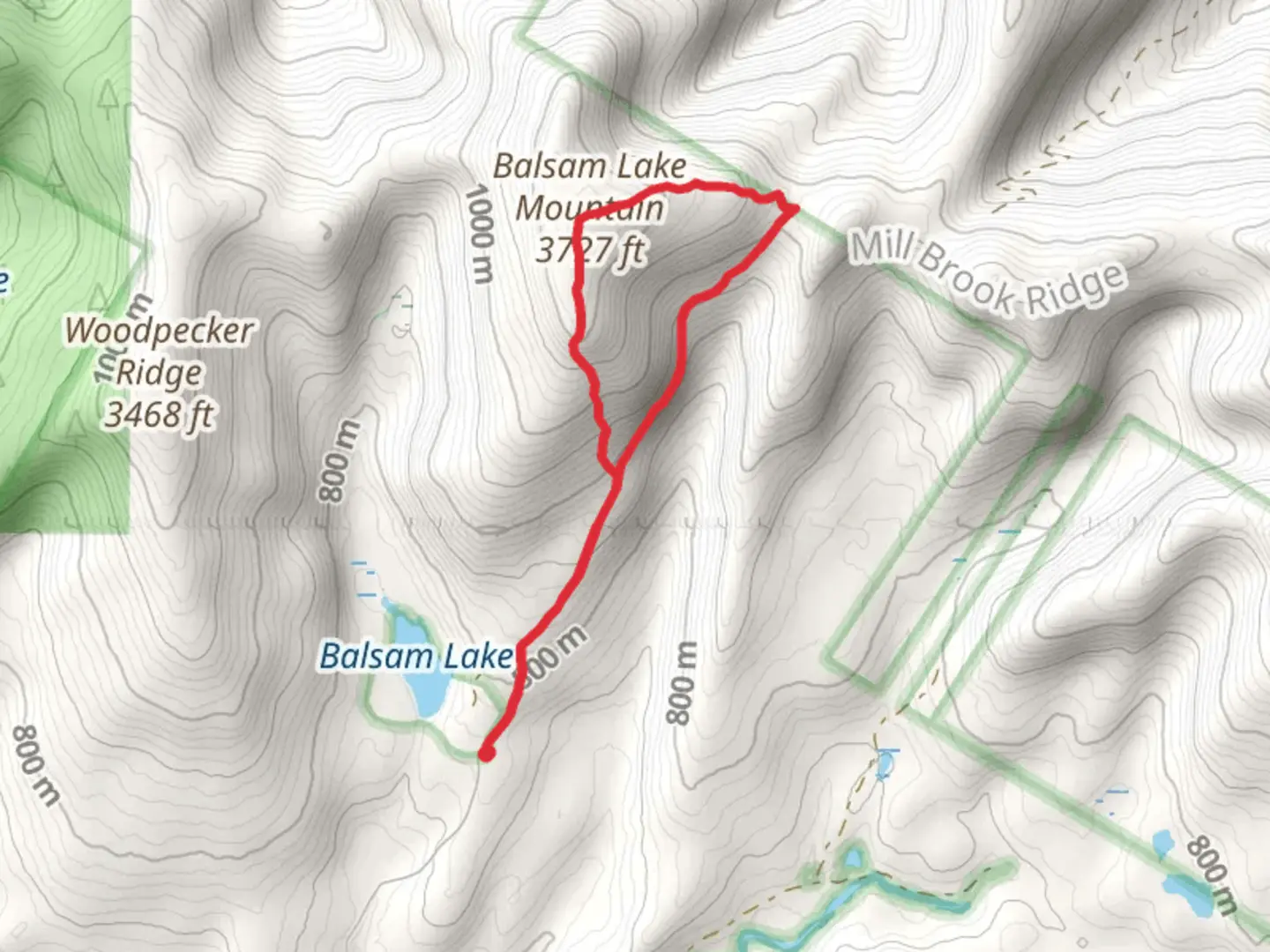 An image depicting the trail Balsam Lake Mountain Trail and its surrounding area.