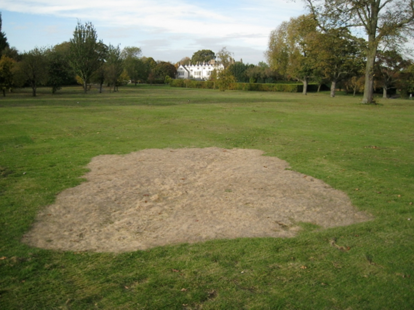 An image depicting the trail Pype Hayes Park Loop and its surrounding area.
