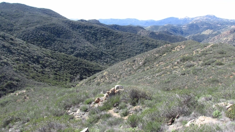 An image depicting the trail Secret Canyon Trail and its surrounding area.
