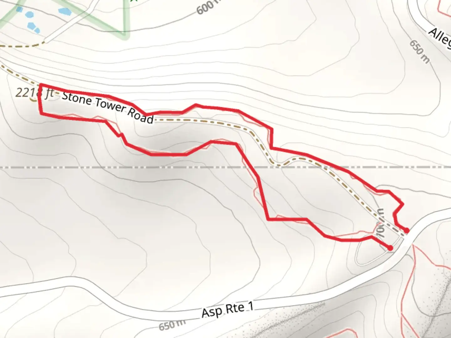 An image depicting the trail Lookout Tower and Summit Trail Camp Loop and its surrounding area.