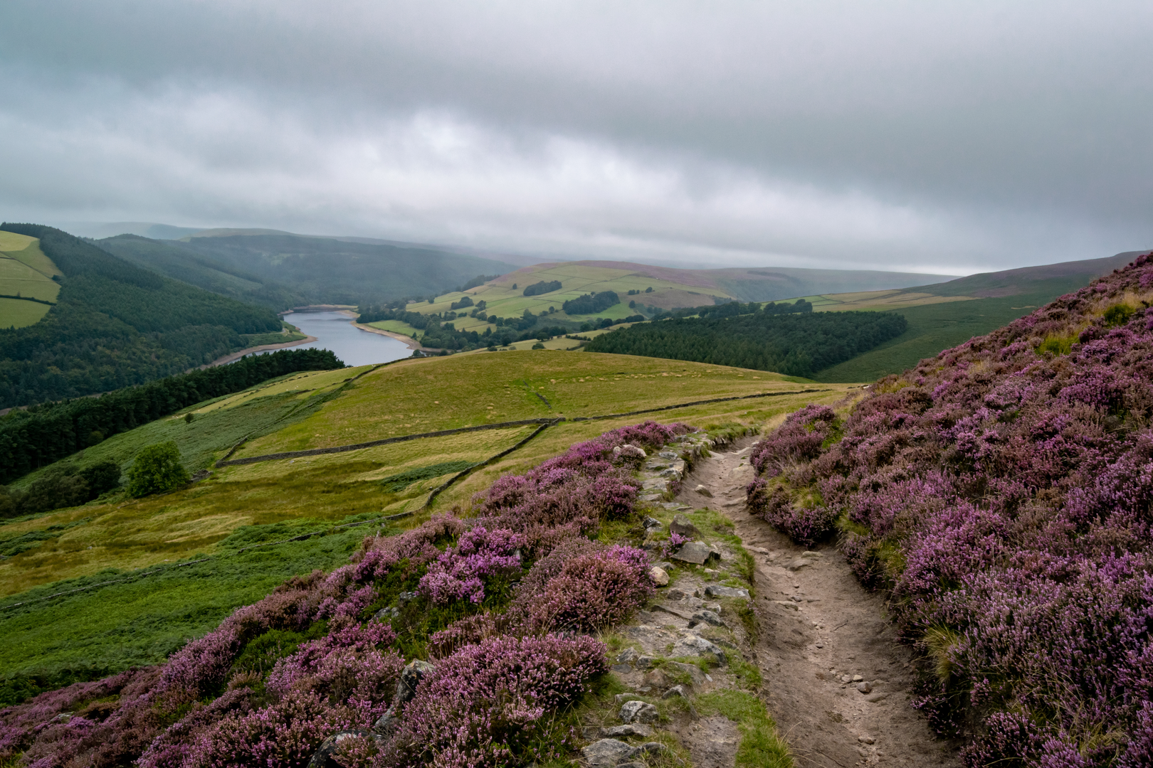 An image depicting the trail Derwent Dam Walk and its surrounding area.