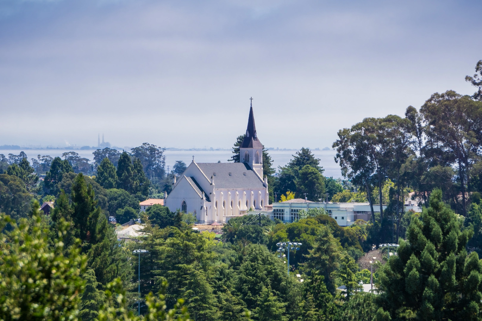 An image depicting the trail Pogonip Creek Nature Loop and its surrounding area.