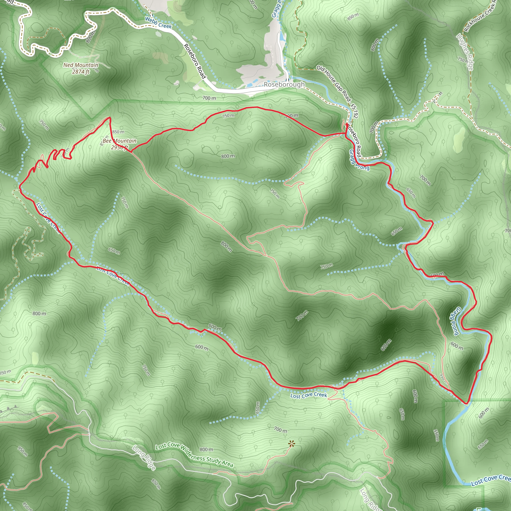 Lost Cove Loop Trail mobile static map