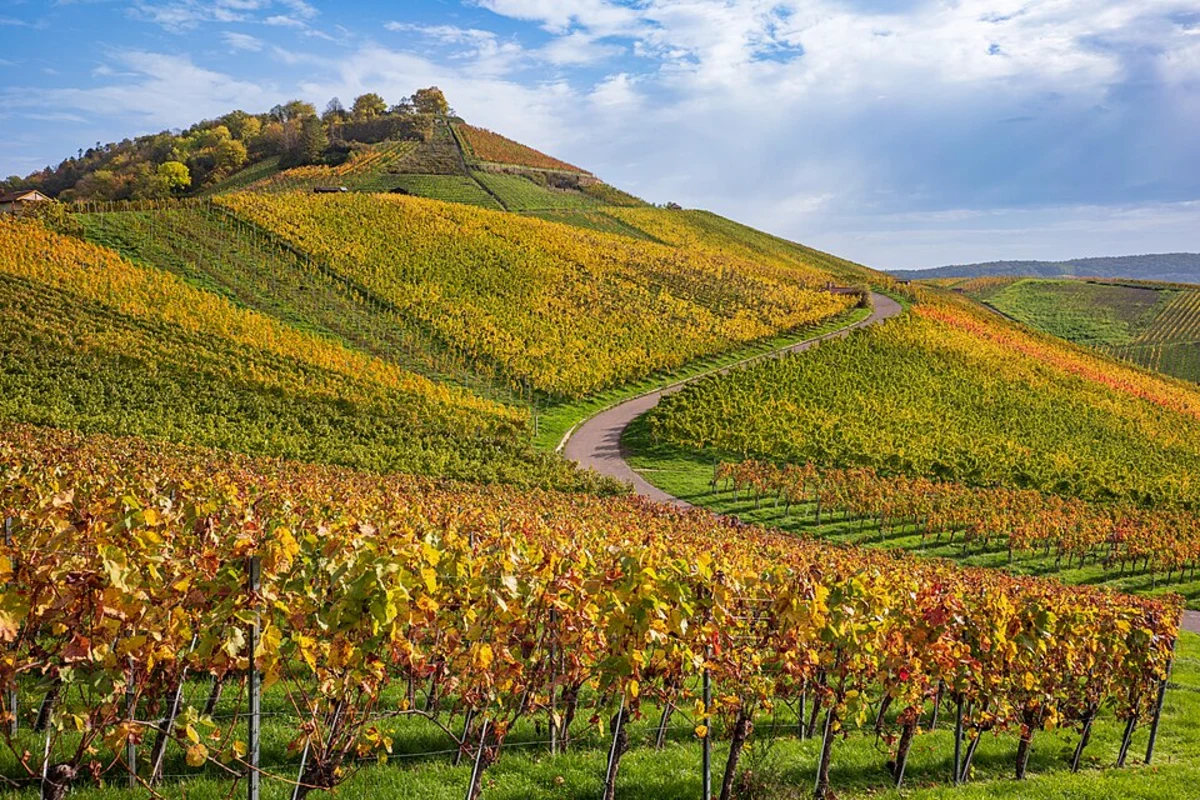 Scheuerberg Loop via Roetelsteinpfad