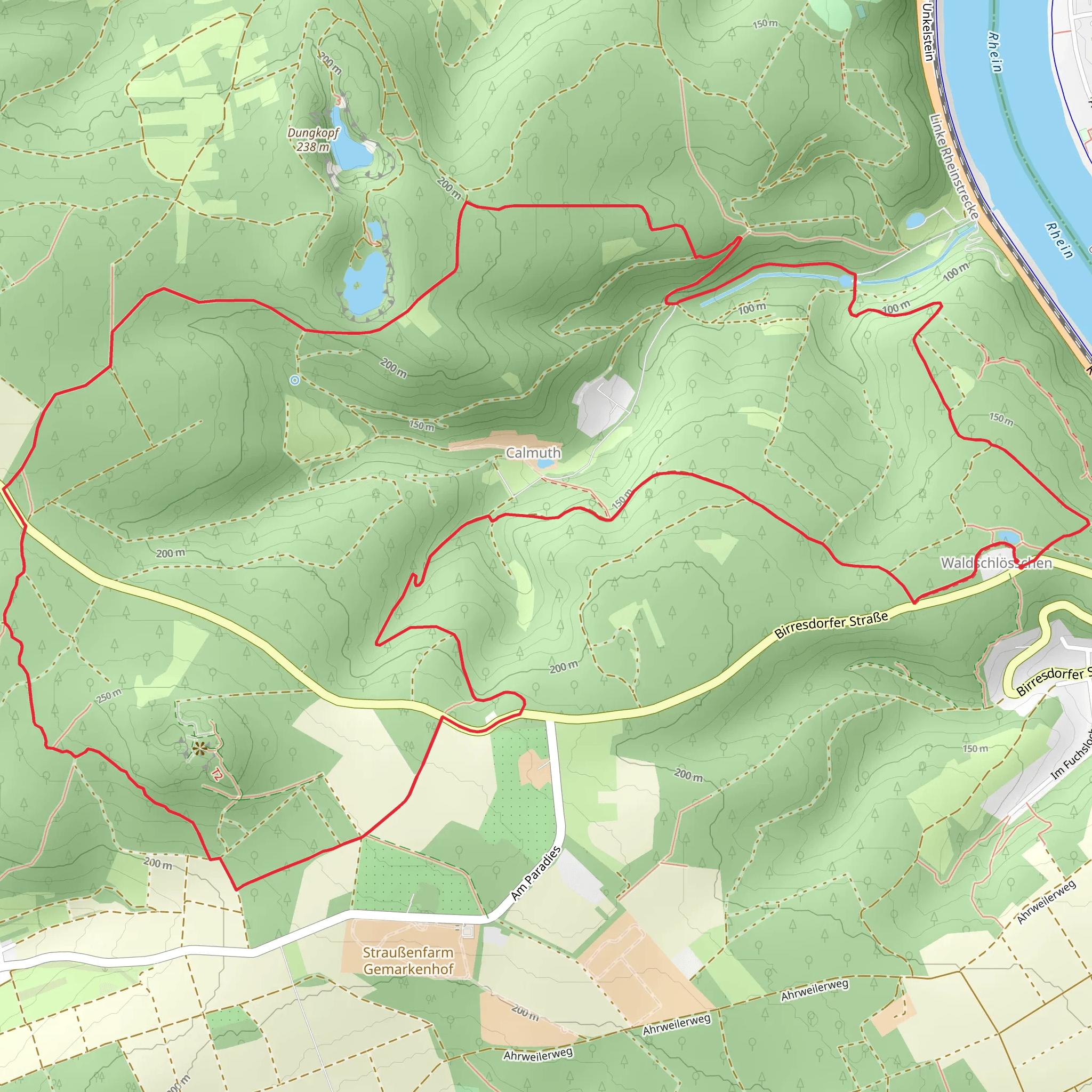 Wanderweg Remagen Circle mobile static map
