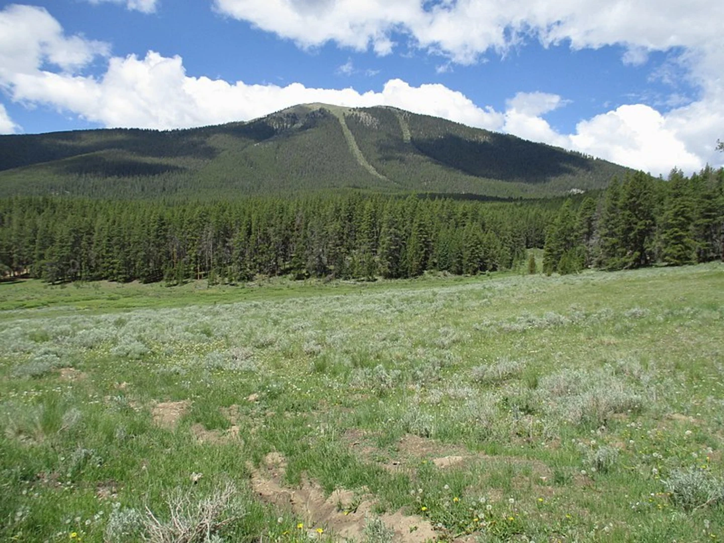 An image depicting the trail Union Canyon Trail and its surrounding area.