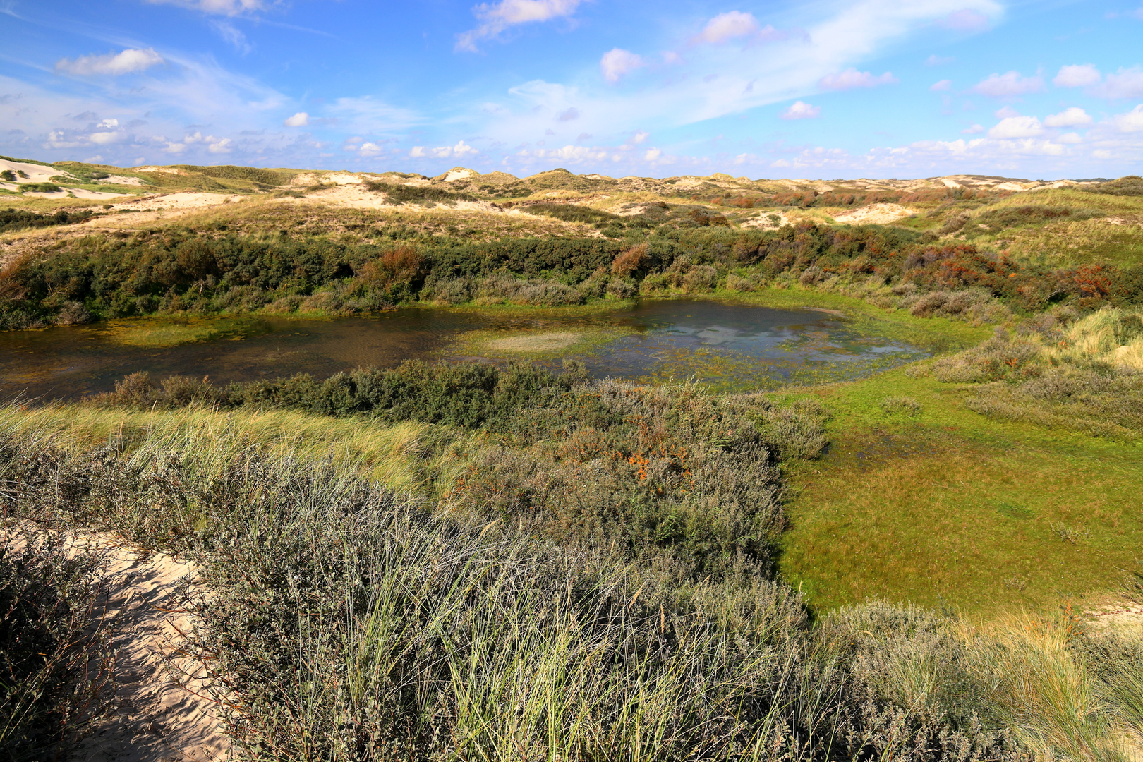 An image depicting the trail Landerumerheide Loop and its surrounding area.
