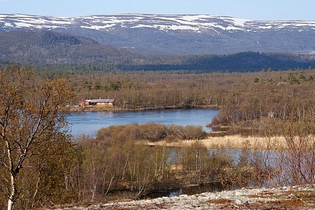 An image depicting the trail Stabbursdalen National Park and its surrounding area.