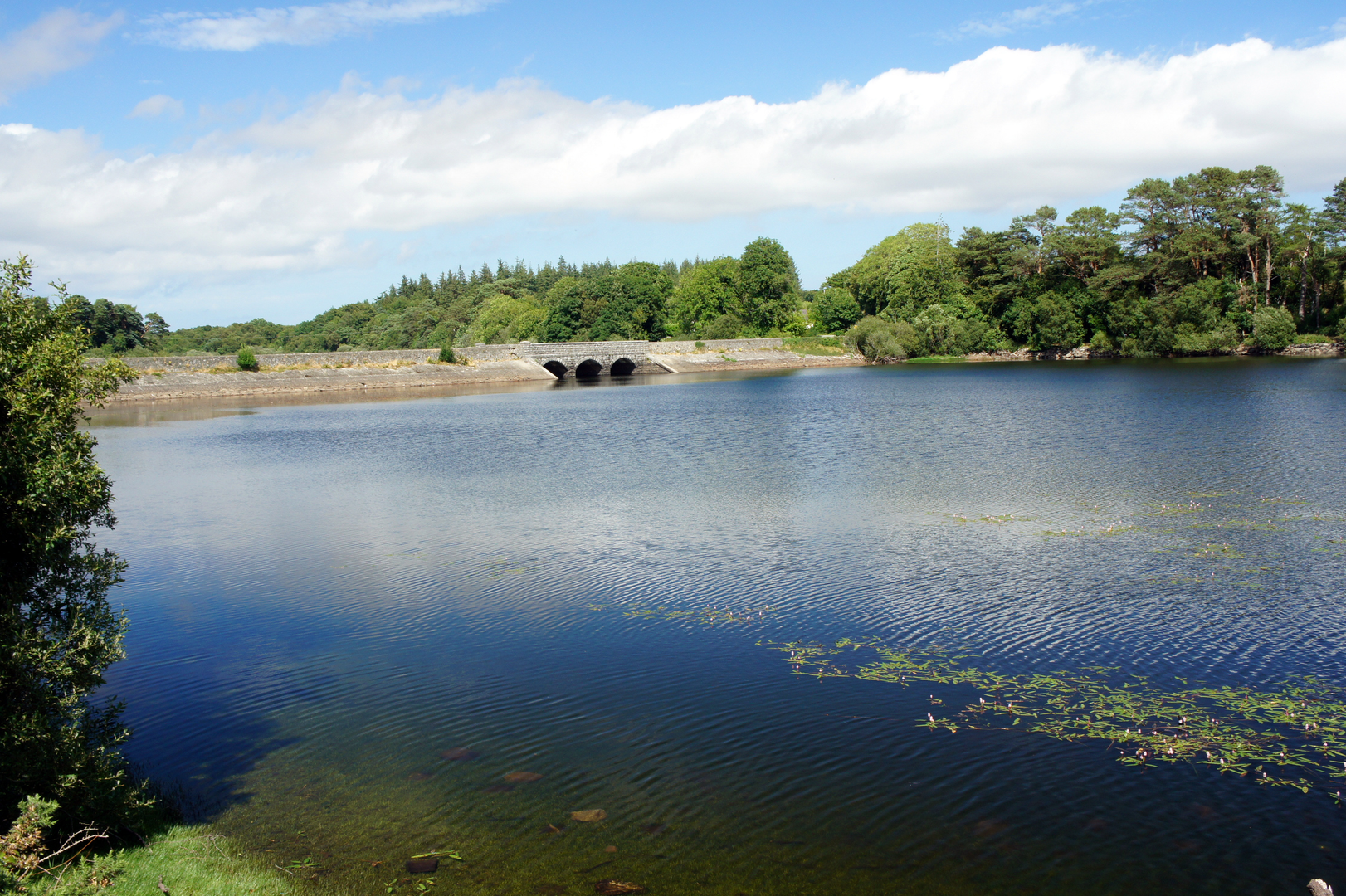 An image depicting the trail Roundwood Reservoir Lower Vartry Trail and its surrounding area.