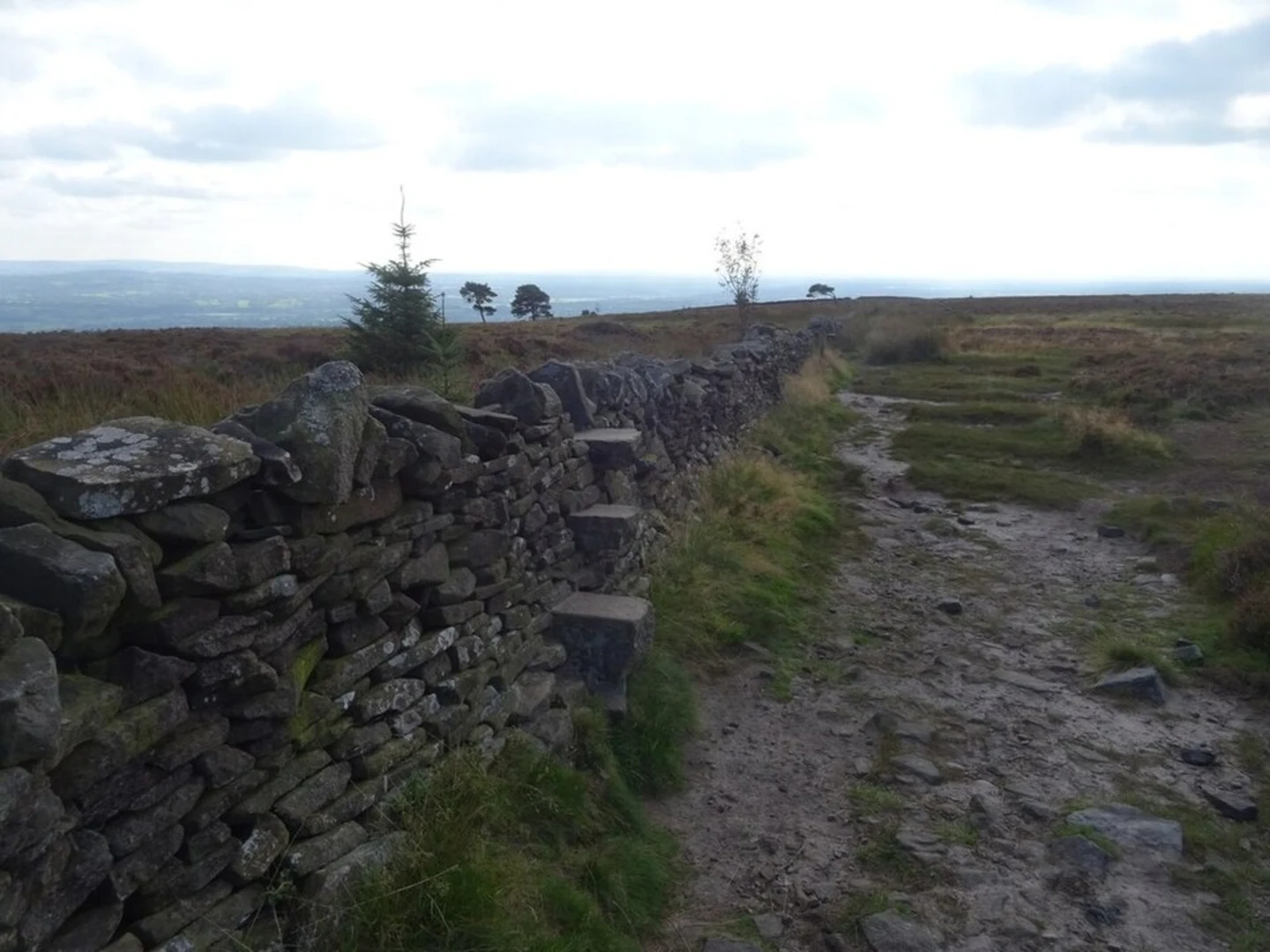 An image depicting the trail Longridge Fell Loop and its surrounding area.