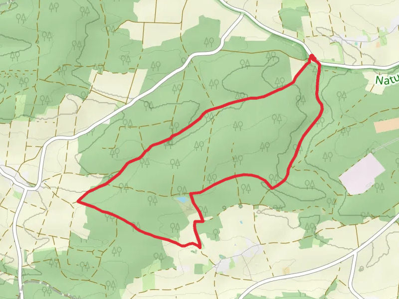 Steinertal Loop